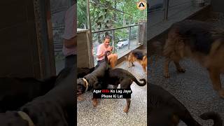 Aaj Sikhaya Rottweiler Bubzee Ne Mummy Ko Sabak Seedha Kiya Attack shorts rottweiler dogs trend [upl. by Eural268]