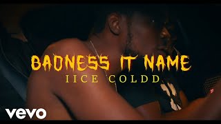 iice coldd  Badness it name Official Audio [upl. by Ssur]