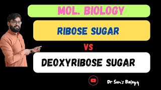 Ribose Sugar vs Deoxyribose SugarBiology Dr Sams Biologyl [upl. by Marylou]