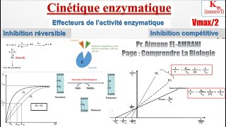 Séance 11  Effecteurs de l’activité enzymatique  Inhibition compétitive [upl. by Chrissa]