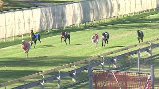 Capalaba17072024Race5 [upl. by Anertal]