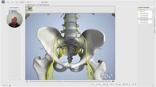 Understanding Sacroiliac Joint Sprain Strain Treatment 🦴 [upl. by Kellene948]