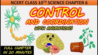 Control and Coordination with Animation Class 10 Science Chapter 6 NCERT CBSE Full chapter One shot [upl. by Wendin704]