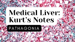 Medical Liver Kurt’s Notes pathagonia [upl. by Euqnimod]