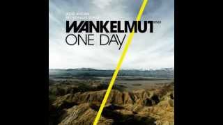 Asaf Avidan amp the Mojos  One Day  Reckoning Song Wankelmut Remix Club Mix [upl. by Arnst]