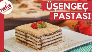 ÜŞENGEÇ PASTASI 👌🏻😉 Modası Geçmeyen En Kolay Pasta Tarifi 💯 [upl. by Nanam]