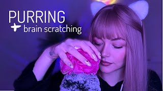 ASMR PURRING amp brain scratching to turn it off [upl. by Okechuku]