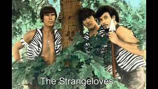 The STRANGELOVES  I Want Candy  CaraLin  stereo [upl. by Notla]