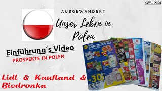 Prospekte Polen  KW32020  Lidl ✔ Kaufland ✔ Biedronka  Einführung´sVideo  Kommentar DEUTSCH [upl. by Meletius]