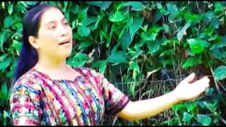 Florinda Cuy  Hay Luchas Y Pruebas [upl. by Kristan904]