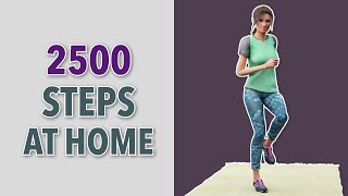 2500 Steps At Home Low Impact Walking Exercise [upl. by Amberly597]