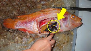 What Is That Woman Finds An Incredible Surprise While Cleaning A Fish [upl. by Tiffa207]