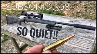 Suppressed 308  How Quiet Is It Silencer Series ep 01 [upl. by Dat520]