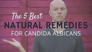 The 5 Best Natural Remedies for Candida Albicans [upl. by Onifled]