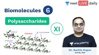 Biomolecules  Lecture 6  Polysaccharides  Class 11  Unacademy NEET  NEET Biology  Sachin Sir [upl. by Suivat]