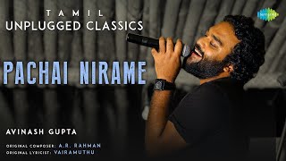 Pachai Nirame  Tamil Unplugged Classics  Alaipayuthey  A R Rahman  Avinash Gupta [upl. by Aisaim408]