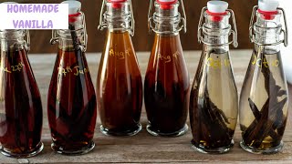 HOMEMADE VANILLA EXTRACT  How To Make Vanilla Extract  2 ingredients [upl. by Namara]