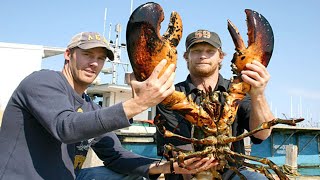 Amazing Fastest Giant Lobster Catch Skill  Most Satisfying Lobster Fishing Video [upl. by Mauro]