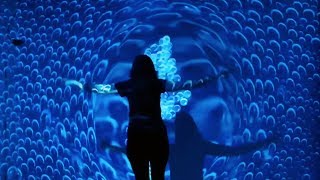 Illusion  immersive interactive art installation  Flutter Experience Art Gallery LA [upl. by Chard]