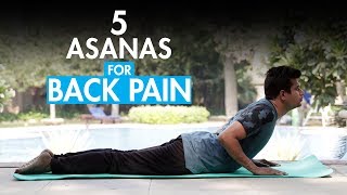 Yoga Stretches For Back Pain Relief  Fit Tak [upl. by Asertal80]