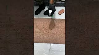 Dirtiest carpet cleaning 🧼 youtubeshorts [upl. by Steward]