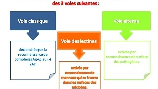 le système du complément explication pas plus simple partie 1 [upl. by Nosyd]