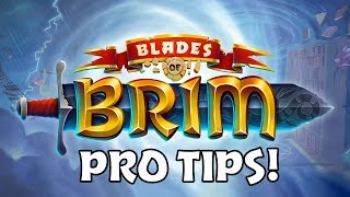 Blades of Brim Pro tip  Pets and Combos [upl. by Hollingsworth404]