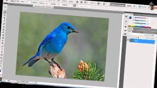 Crea tus propios Pinceles para Photoshop [upl. by Rossy]