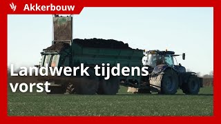 Compost strooien en wintertarwe zaaien met vorst [upl. by Wolsky825]