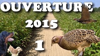 OUVERTURE CHASSE 2015 1 CALIBRE 410 PHEASANT HUNTINGCACCIA SELVAGGINACAZA MENORОХОТА НА ФАЗАНА [upl. by Huxham]