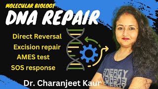 DNA repair in hindi  Molecular biology  Dr Charanjeet Kaur [upl. by Atniuq858]