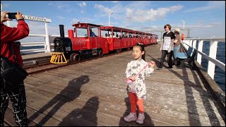 VLOG 136 BUSSELTON JETTY UNDERWATER OBSERVATORY [upl. by Tserof]