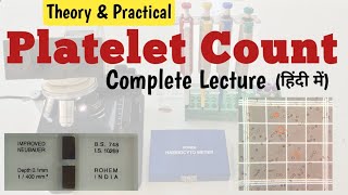 Platelet Count  Complete Lecture with Practical by neubauer chamber in hindi [upl. by Mccourt]