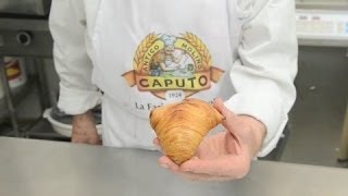 Italian dessert recipes quotsfogliatella ricciaquot  stuffing [upl. by Arratal354]