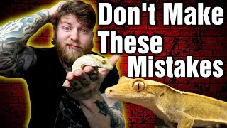 Stop Doing This Top 5 Crested Gecko Mistakes amp How To Avoid Them [upl. by Callery]