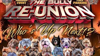 THE BULLY REUNION DOG SHOW 2023… MY FIRST TIME [upl. by Falo]