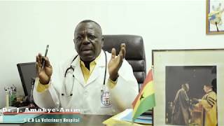 Ghana Poultry Vaccination Protocol for Commercial farms 2018 [upl. by Marcia]