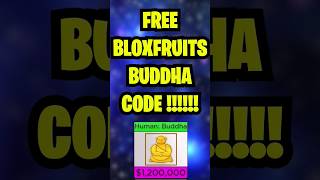 OP Blox Fruits Codes  September 2023 NEW [upl. by Lusa]