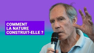 SELON QUELS PRINCIPES ET AVEC QUELS MATÉRIAUX LA NATURE CONSTRUITELLE [upl. by Annovaj574]