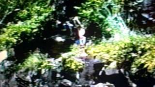 Ben Jacobsen Waimea Cliff Dive [upl. by Fiester]