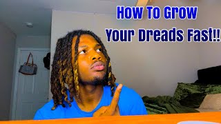 How to make your dreads grow faster tips and tricks for dreads [upl. by Yettie]