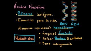 Ácidos Nucleicos Nucleótidos y Nucleósidos [upl. by Nickles]