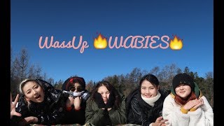 THE WASABIES нэрийн бялуу 🍰🤭 WassUp WABIES  1 [upl. by Lertram]