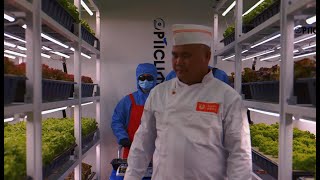 The Opticlimatefarm indoor farm defines the catering supply chain from an industrial perspective [upl. by Nannerb]