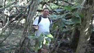 Hike to Captain Cooks Monument on Kealakekua Big Island Hawaii [upl. by Nrubua]