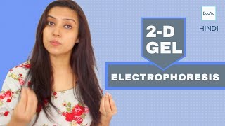 Two Dimensional 2D GEL Electrophoresis  Principle  Hindi [upl. by Kellen]