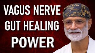 How the Vagus Nerve Heals Your Gut The Key to Digestive Health and Healing [upl. by Pallaten]