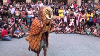 Ball del Xut a la 17a TROBADA DE GEGANTONS DE SANT ROC de Solsona 2014 [upl. by Mafala]