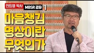 MBSR 강좌 안희영 박사의 마음챙김 명상이란 무엇인가 1 [upl. by Nij54]