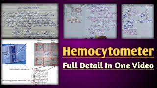 Hemocytometer  hemocytometer rbc count  calculation in neubaur chamber [upl. by Alameda419]